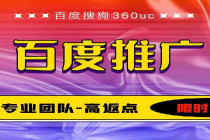 网络推广中的竞价广告：成功案例解析